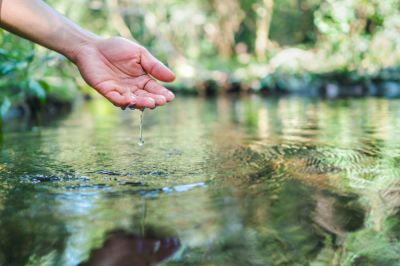 Maintain the Health and Cleanliness of Your Pond!
