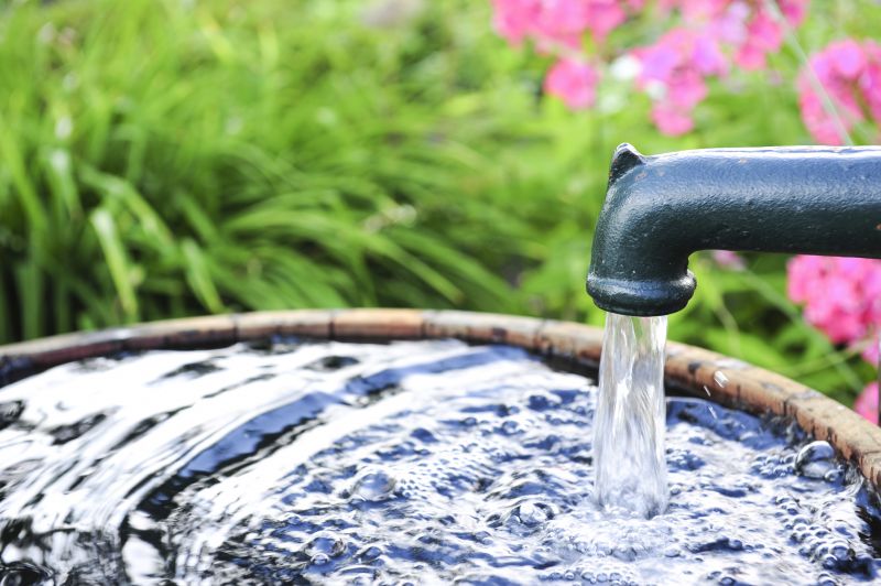 Pond Pump Repair