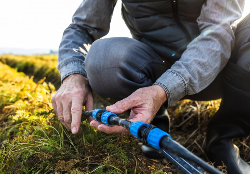 Professional Repair Workshop